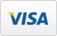 Pay with Visa