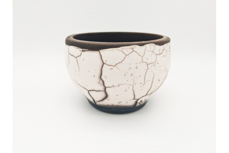 Bert S. - Raku Community Spotlight