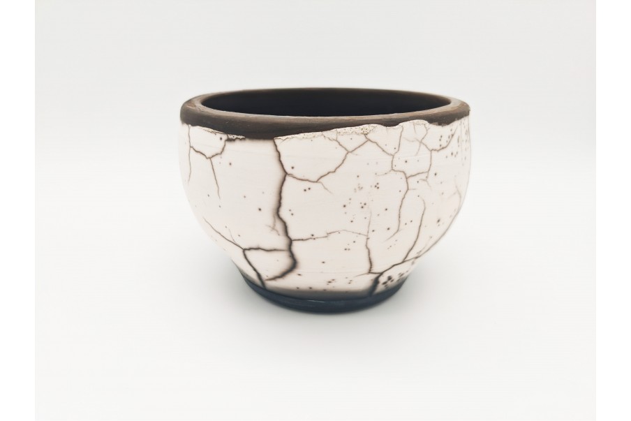 Bert S. - Raku Community Spotlight