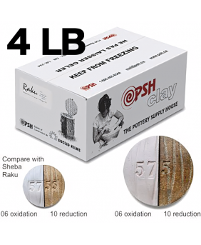 PSH #575 Raku Ceramic Clay Body, 4 lb PSH #575 Raku Ceramic Clay Body, 4 lb