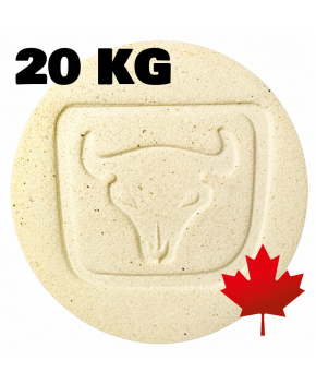 Plainsman H441G Cone 8-10 White Buff Grogged Ceramic Clay Body, 20 kg Plainsman H441G Cone 8-10 White Buff Grogged Ceramic Clay Body, 20 kg