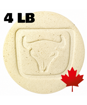 Plainsman H441G Cone 8-10 White Buff Grogged Ceramic Clay Body, 4 lb Plainsman H441G Cone 8-10 White Buff Grogged Ceramic Clay Body, 4 lb