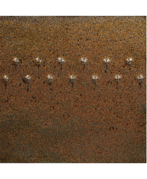 Amaco Potter's Choice Glaze – Cosmic Gold Dust (16 oz)