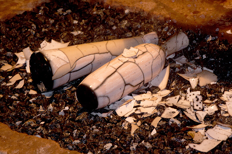 Clay Community Spotlight - Raku