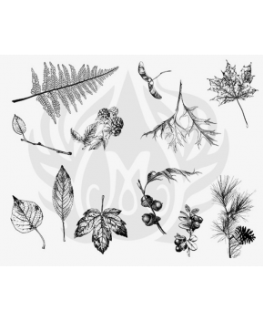 Mayco Designer Silkscreen - Botanical, Leaves