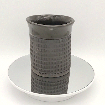 Bert PRNI Mug1