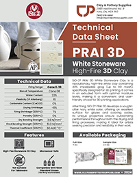 PRAI 3D Stoneware