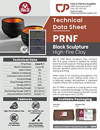 PRNF Black Sculpture